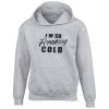 I'm so freaking cold Hoodie