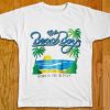 The Beach Boy World Tour 1988