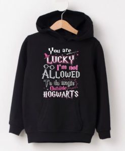 You Are Lucky I'm Not Allowed To Do Magic HOODIE