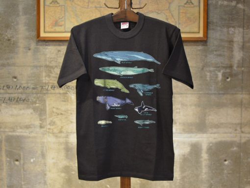 Collection of Whale Breeds Species T-shirt