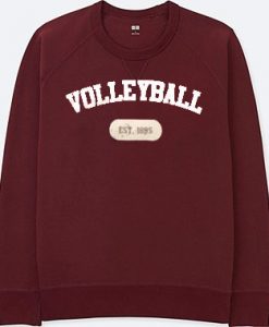volley ball est 1895 maroon sweatshirts