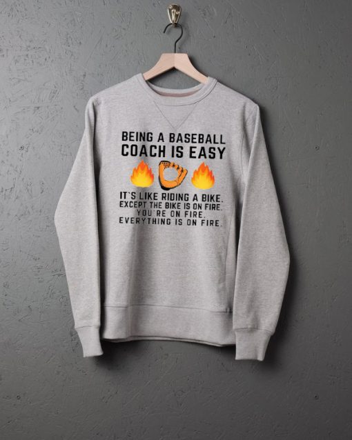 Funny Baseball Coach Gifts Baseball Coaching Sweatshirts